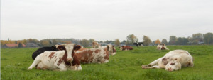 48 uur stil