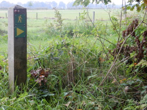Boerenpad wandeling in stilte
