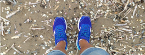 Wandelen langs de Belgische Kust