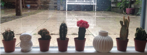 Tuincentrum