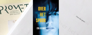 Over het spoor | Eva Geuris