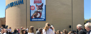 Superpower dogs, film in het Omniversum Den Haag